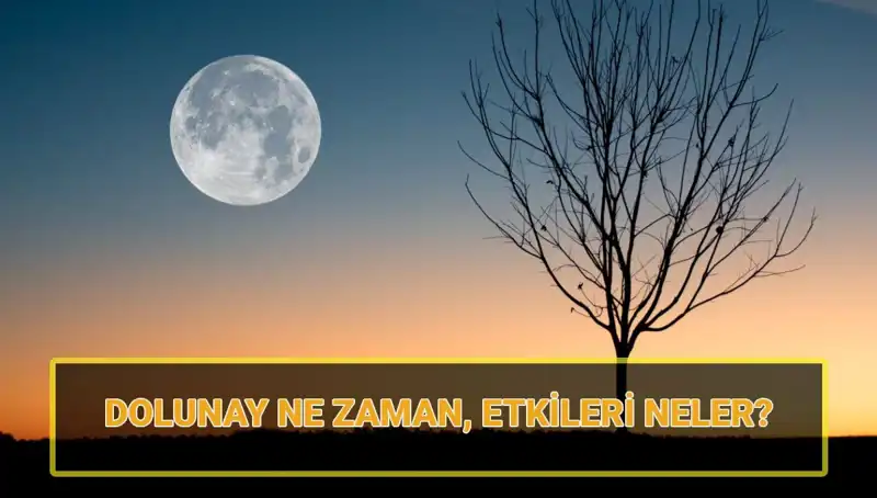Terazi Dolunayı: 2023 Yılında Doğa ve Ruh Halimizi Nasıl Etkileyecek?