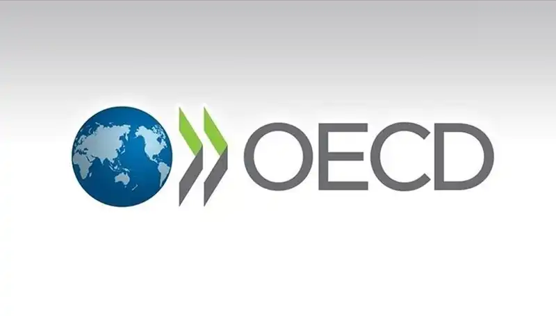 OECD, Türkiye’nin 2024 Büyüme Tahminini Yükseltti: Ekonomik İyileşme Sinyalleri