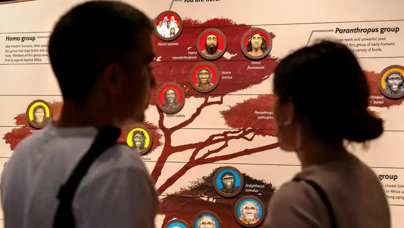 Modern İnsanların 40 Bin Yıl Önce Yok Olmaktan Kurtuluş Hikayesi