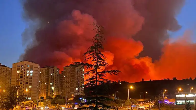 Bursa'da Yangın Fırtınası: Şehirdeki Durum Ne?