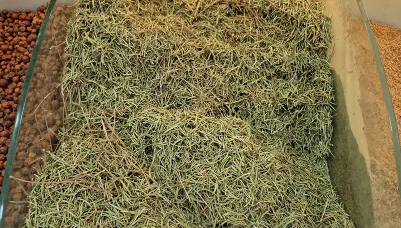 Yaz Ayları Geldi, Tehlikeli Ürünlerin İnternetteki Satışı Artıyor!