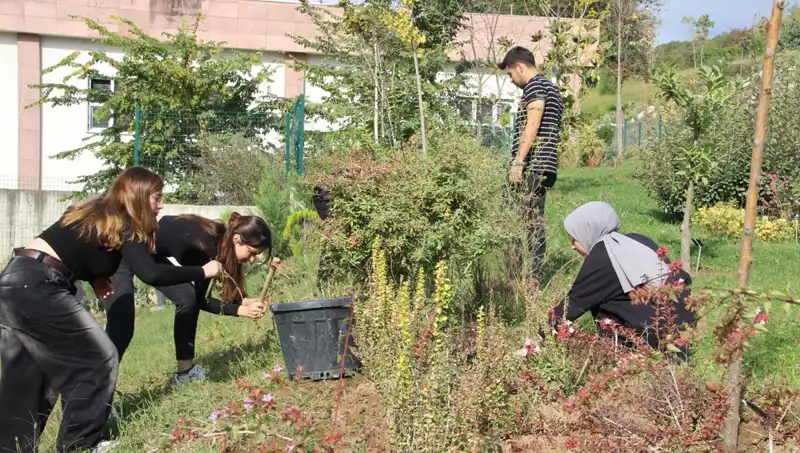 Düzce’nin Yıldızı: Hayalin Gerçekleştiği Yer