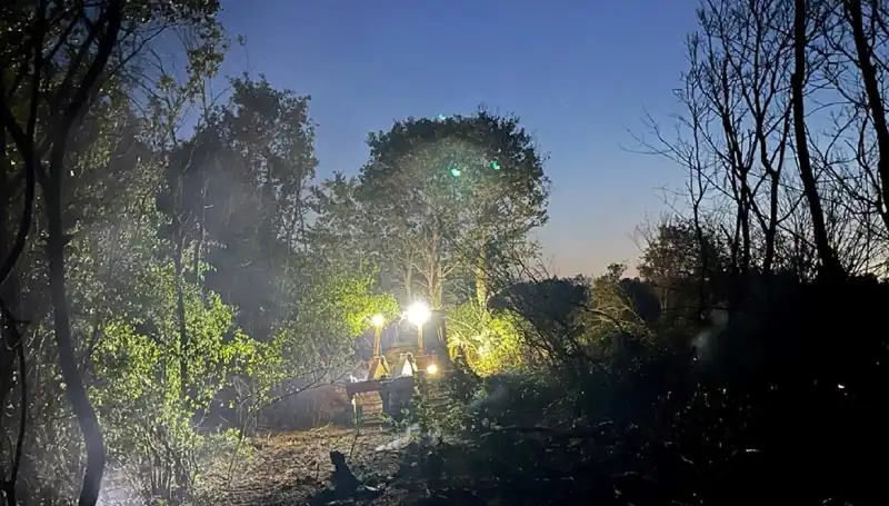 Edirne’de Yangın Alarmı! Orman Yangını Hızla Kontrol Altına Alındı