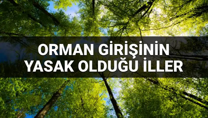 2025’te Ormana Girmesi Yasak Olan İller Açıklandı!