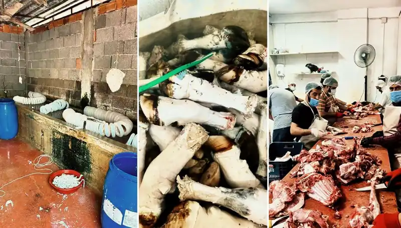 Adana’da Şok Edici Skandal: Yüzlerce Kilo Paça Ele Geçirildi!
