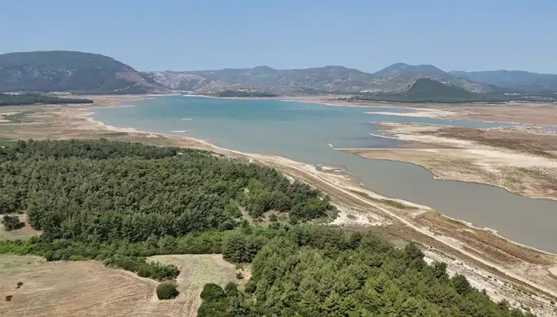 İzmir'deki Tehlike Çanları: Geçen Yıla Göre Yüzde 50 Düşüş Nedenleri