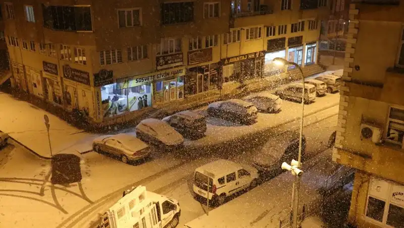 Bir Günde İki Mevsim: Kar Yağışı Sonrası Bahar Geldi