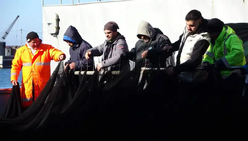 Denizlerde Hamsi Avı Sonlandı: Tekneler Neden Erken Dönüş Yaptı?