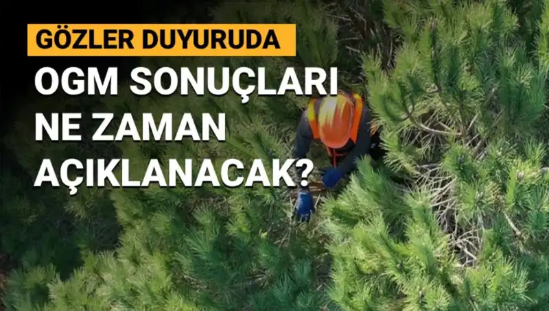 OGM Personel Alımı Sonuçları: 3.477 Kişilik Kontenjan için Heyecan Dorukta!